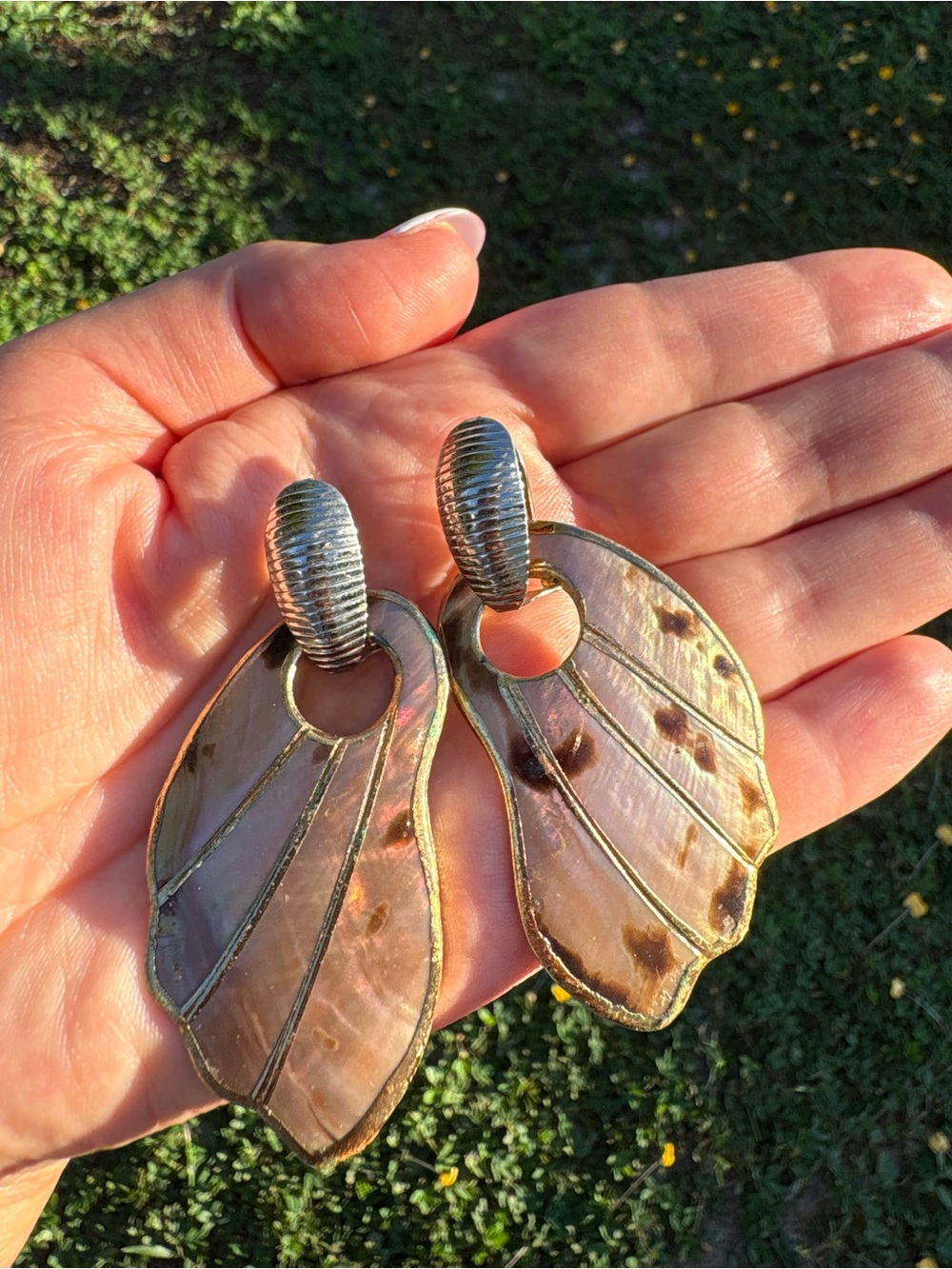 Iridescent Shell Drop Earrings with Gold Trim - Women's Jewelry